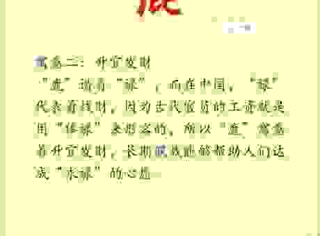 林深见鹿打一生肖到底是什么?揭秘最准确的答案!