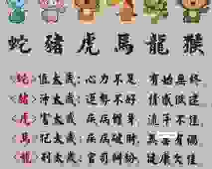 猜生肖：千乡万里未回还指什么生肖？生肖爱好者必看！