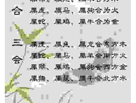唯唯绸否打最准确的一个生肖怎么理解？看完这个分析就明白了！
