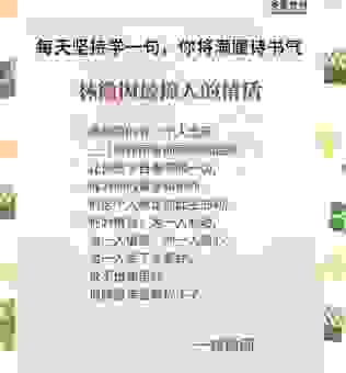 为什么说绵里藏针指这个生肖？性格特点深度解析！