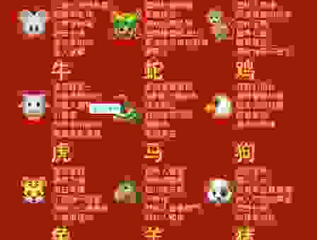 鼠肚鸡肠是什么生肖？性格特点和由来详细解析！