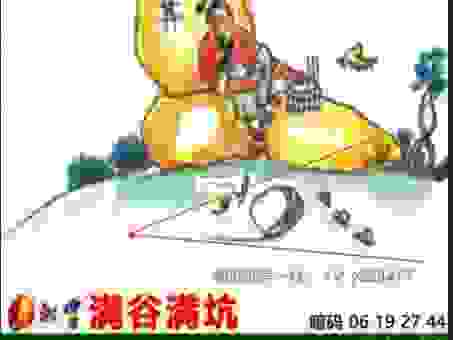 暖傍离宁静拂桥是什么生肖？这个谜语背后的真实答案！