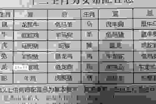 奔逸绝尘打一动物生肖的答案是什么？快来看看是不是你想的！