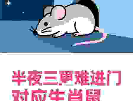 半夜三更是指什么生肖动物？原来指的是它！