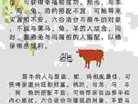 遮风挡雨是什么生肖？看完这个故事你就知道了！