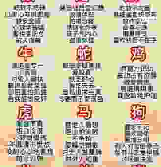 怕三怕四是什么生肖的代称？性格解析让你秒懂！