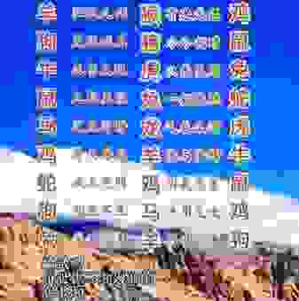 快速猜出万无一失打一最佳生肖？掌握这个技巧就行了