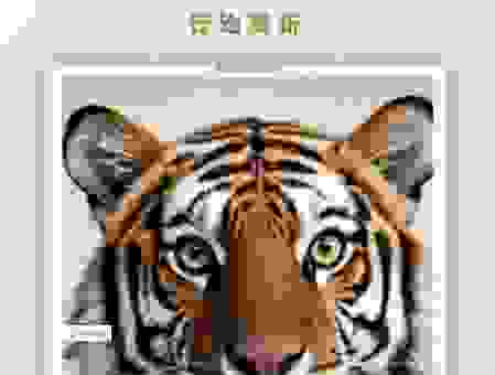 揭秘倾巢而出是指什么生肖?答案让你恍然大悟!