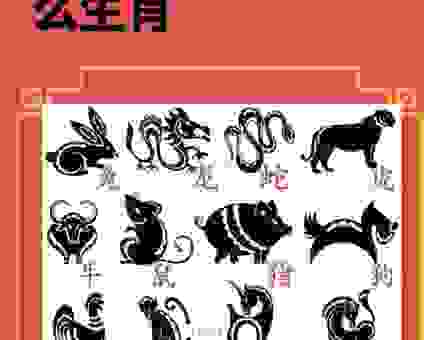 赶尽杀绝猜生肖怎么猜?生肖的最佳答案就在这里!