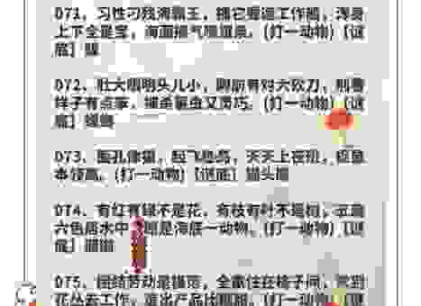 金童玉女打一最佳生肖的谜底是什么?谜语解析让你恍然大悟!