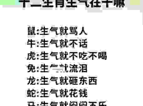 瓮声瓮气是什么生肖的代名词？性格特点分析！