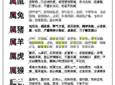 瓮声瓮气是什么生肖的代名词？性格特点分析！