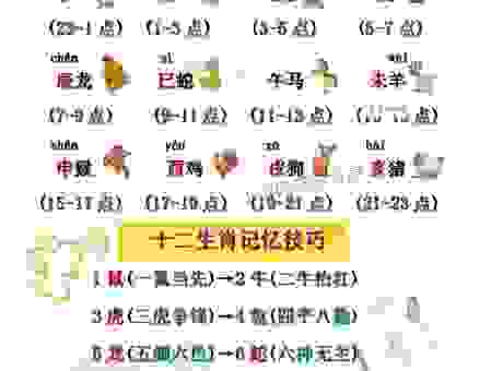 马上观花十二朵是什么生肖？看完这篇文章你就明白了