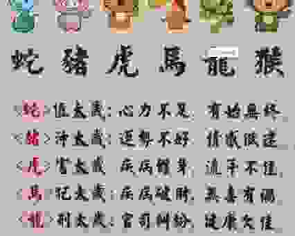 劈天盖地是什么生肖？原来跟这个动物有关联！
