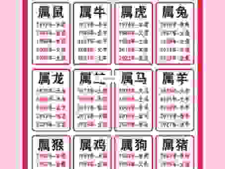 桃李争艳指什么生肖？生肖属性分析带你猜谜！