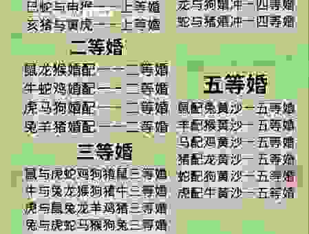 痛定思痛打一生肖最准确的解释，快来看你属什么？