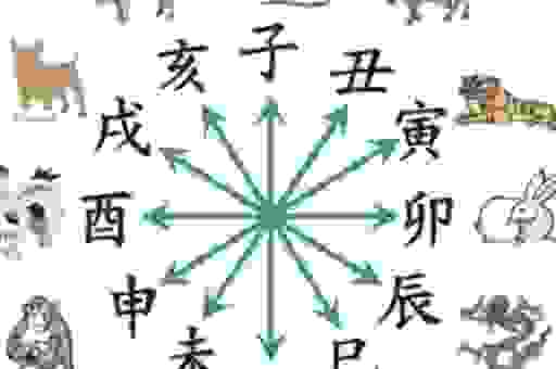 进退两难是什么生肖解析?资深生肖专家在线解答!