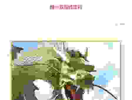 飞禽走兽是什么生肖的动物？生肖属性大揭秘！