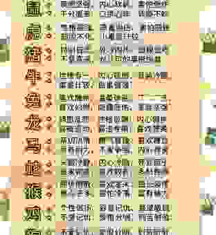 飞禽走兽是什么生肖的动物？生肖属性大揭秘！