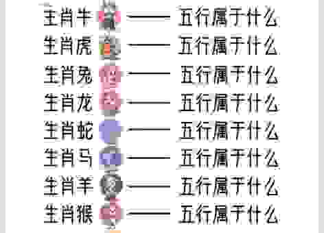 金童玉女代表的生肖是什么？快来测试你是不是金童玉女！