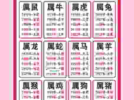 地广人稀对应哪个生肖?原来是这个动物快来揭秘!