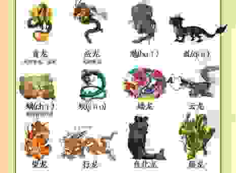 传说中的白龙鱼服是什么生肖？原来指的是这个生肖！