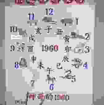 六根清净打一生肖的正确答案是哪个?生肖谜题猜猜看!