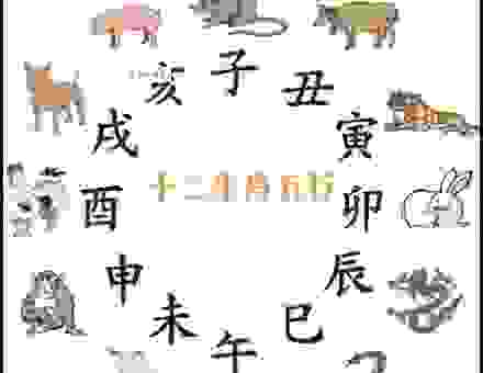 哪里是风水宝地是什么生肖?看完这个视频你就清楚了!