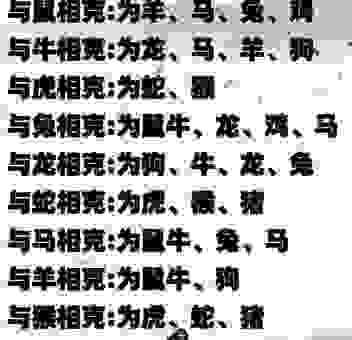 丑态百出是什么生肖?生肖里谁最爱出洋相快来看!
