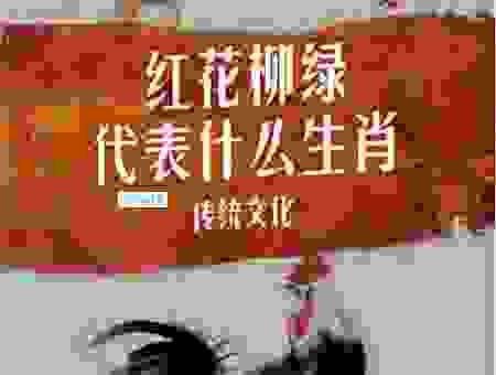 状元武士带红花打一个生肖老彩民都说这个生肖对