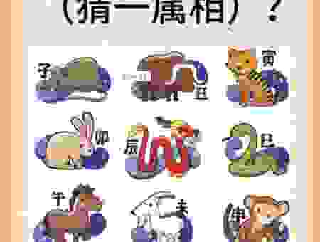 奄奄一息打一准确生肖到底指的是什么？看完这篇就知道！