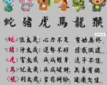 广开门路指什么生肖？揭秘这几个生肖的财富秘密！