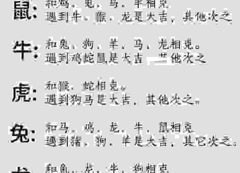 广开门路指什么生肖？揭秘这几个生肖的财富秘密！