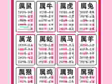 擒七打八是什么生肖的解释？深入分析生肖背后的玄机