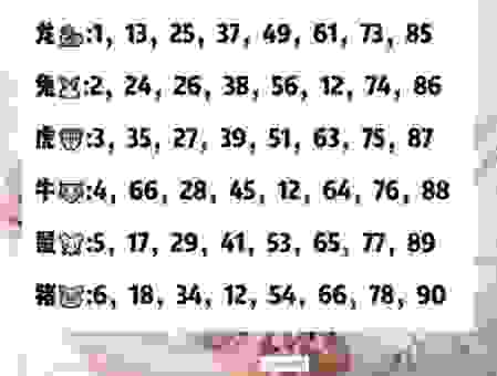 晴空万里是什么生肖？生肖对照表帮你快速找出！