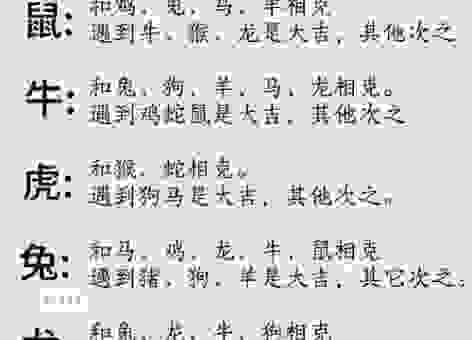 彻心彻骨打一生肖的答案揭秘：原来是这个生肖属相