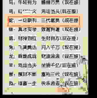 南拳北腿打一正确生肖如何解读？这个生肖太好猜了