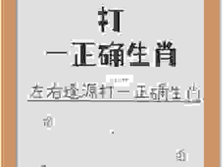 南拳北腿打一正确生肖如何解读？这个生肖太好猜了