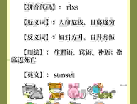 坐着没有站着高是什么生肖的答案？原来是它