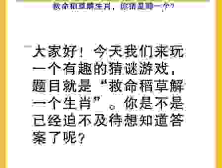 白首如新打一生肖如何猜？资深生肖爱好者教你诀窍！