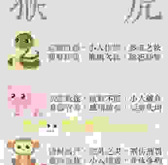 光杆司令是指什么生肖？答案令人意外且十分有趣！