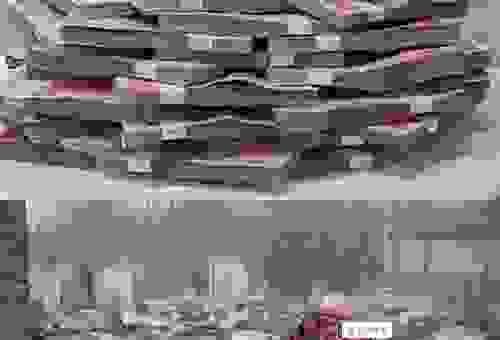 纸醉金迷打一生肖最有可能是什么？谜底大公开