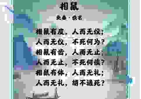 为什么说白首如新是什么生肖？背后的含义非常有趣！