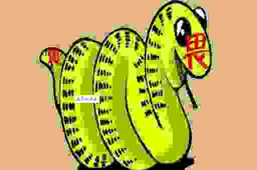 与虎谋皮打一生肖答案解析是什么？看完就懂了！