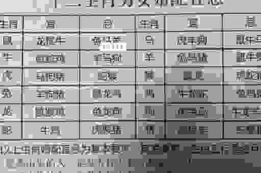 逗留不进是什么生肖动物？资深生肖爱好者给出答案！