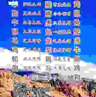 坐收渔利打一动物生肖准确答案揭秘！答案让你意想不到