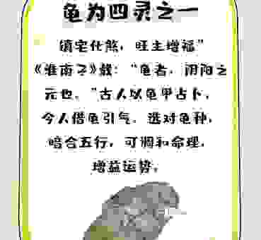 龟鹤之年是指什么生肖？懂的人一下就知道是它