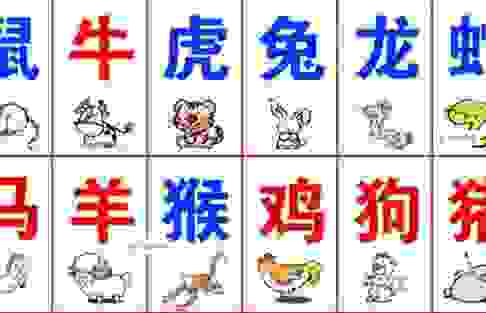 奇花异果打一准确生肖是哪个？高手教你猜生肖