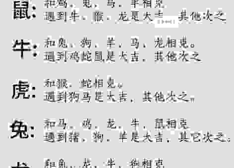 跟踪追击是什么生肖？老一辈人总结的生肖玄机！