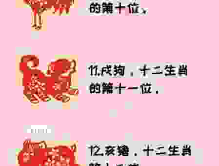 跟踪追击是什么生肖？老一辈人总结的生肖玄机！